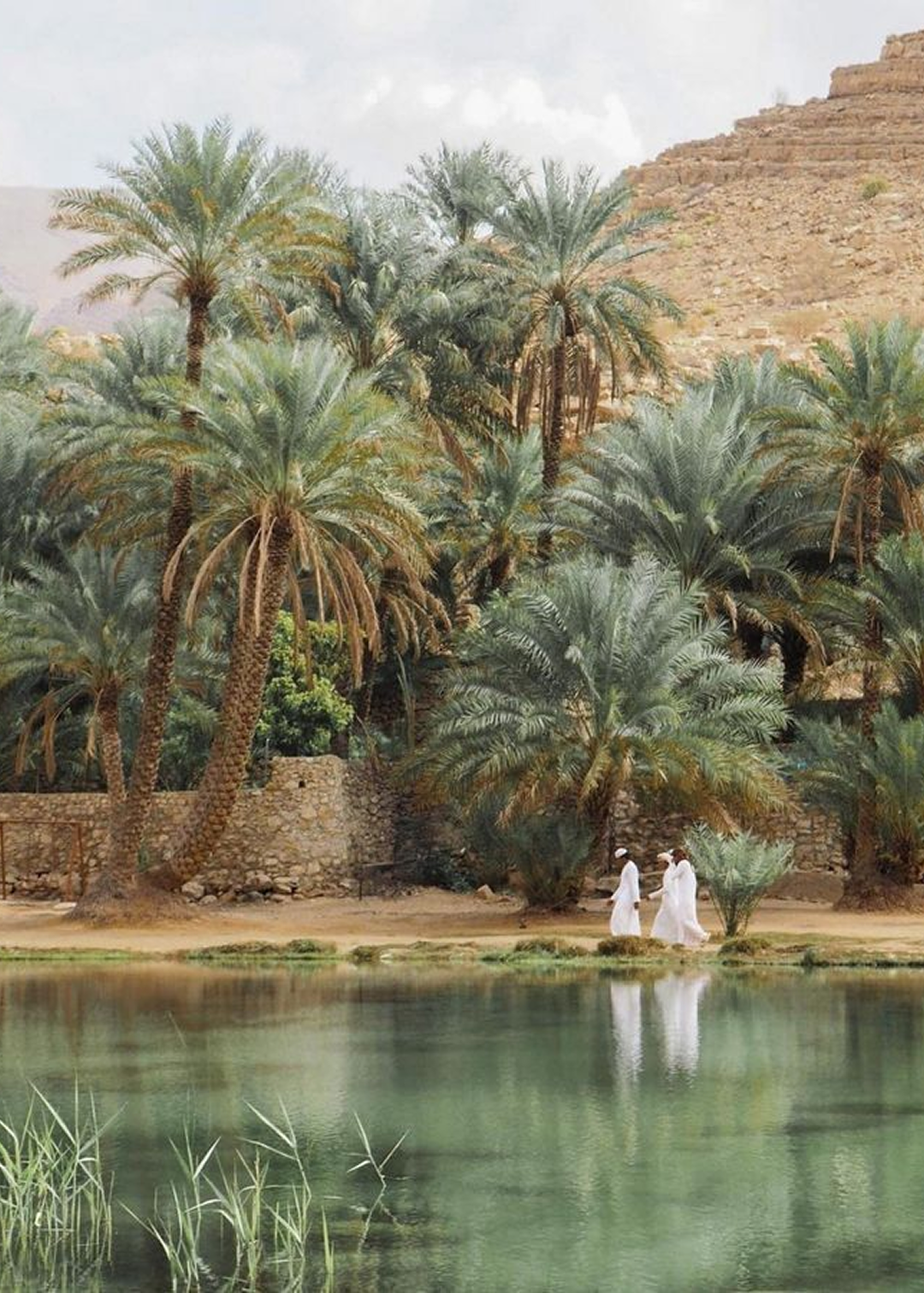 hatta-1